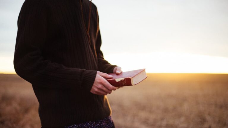 bible minded cities 2017