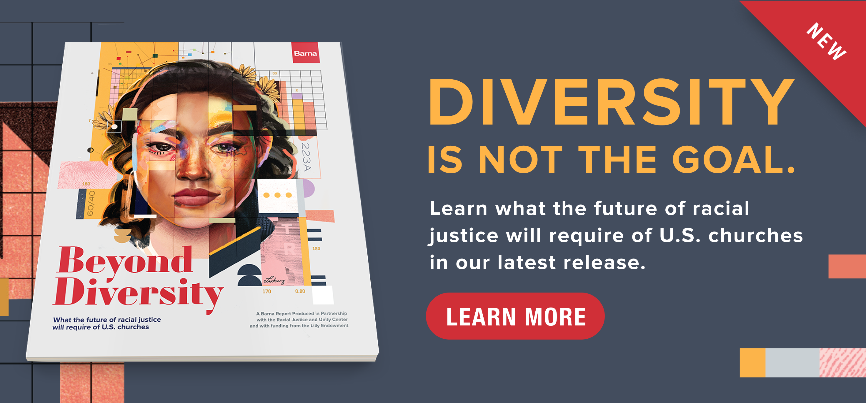Diversity Is Not the Goal