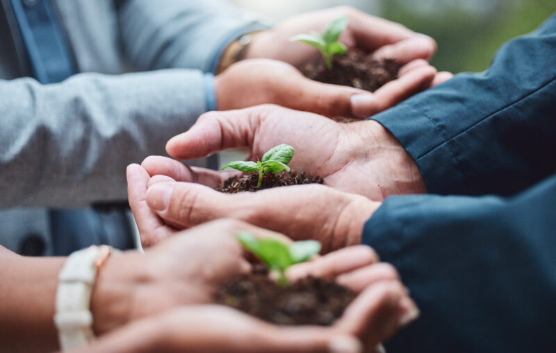Outstretched hands from three people holding soil and plants in the palm of their hands